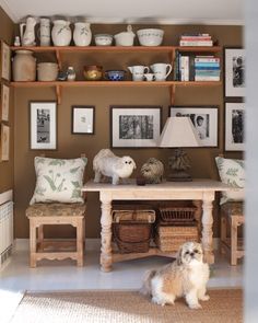 Remarkable High Shelves Decor Ideas Best Interior Dermacton Customer Review Dog Hair Loss Fixer Pinterest