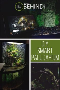 65 best planted tank