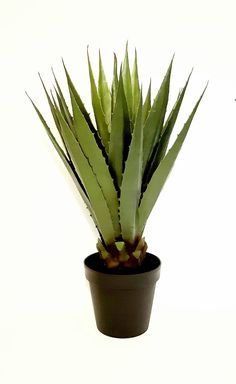 23 Best Artificial Spiky Plants Images In 2019 Outdoor