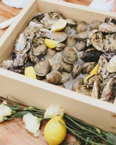 575 best wedding reception