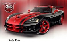 Diffusers With Snake Head logo. Dodge Viper 5 Rear Fins