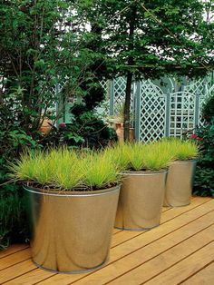 Generic PVC PIPE Landscape Pool and Spa SCH40 Custom Length PVC 1/" X 2FT PVC