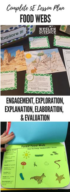 step on it a life sized food web stand up and science pinterest food webs 5e lesson plan ready to print and teach the entire ecosystems unit includes