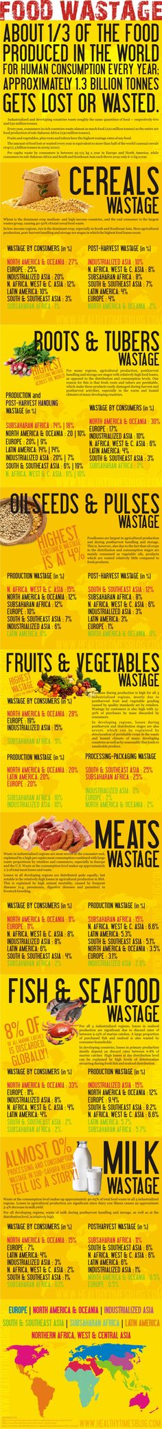 one infographic you ll want to take to the grocery store and tape to food wastage around the world food waste infographic