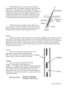 Forensic science scholarship essays