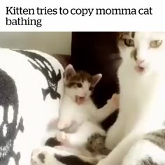 article thumbnail