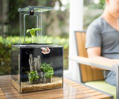 380 best fish tank