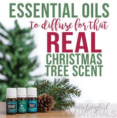 How To Get That Real Christmas Tree Scent With Essential Oils How To Get That Real Christmas Tree Scent With Essential Oils