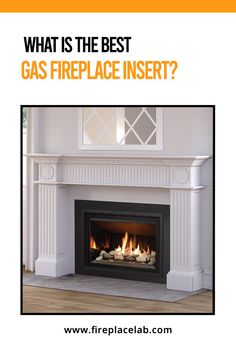 51 Gas Fireplace Inserts Ideas Fireplace Inserts Gas Fireplace Fireplace