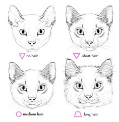 6486 best cat drawing images cat illustrations drawings cat cat drawing images