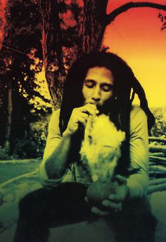 Bob Marley Art Wall Silk Poster 20x13/" B14