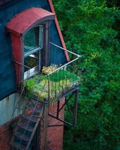 japanischer zaunentwurf new york city garden on the fire escape 35 besten green city bilder auf pinterest landscaping green japanischer zaunentwurf new york city garden on the fire escape 35 besten green city bilder auf pinterest landscaping green