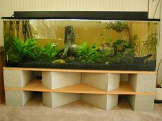 8 Best 75 Gallon Aquarium Images On Pinterest Aquariums Fish Diy Aquarium Ideas Freshwateraquariumlighting 75 Gallon Stand