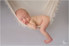 1191 best newborn photography