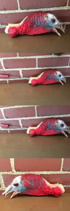birds 71123 3 freeze dried hen turkey heads from hazel creek birds 71123 freeze dried taxidermy tom turkey head mount bird never been on bird hunting