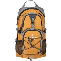 NItro Sac à dos Urban Classic Pack/'16 Northern patch