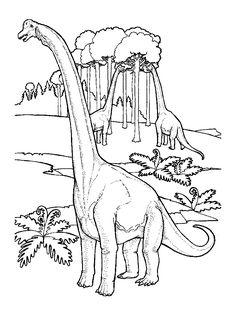 Animal Coloring Pages Color Plate Sheetprintable Picture