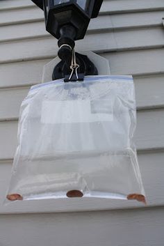 Natural Fly Repellant A Zip Lock Bag Of Water Fill