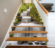 Corredores de opciones binarias de escalera