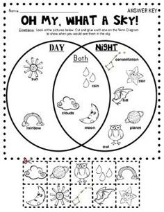 venn diagram shapes curved or straight venn diagram printable sorting shapes venn diagram worksheet