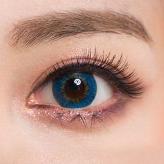 245 best contacts images