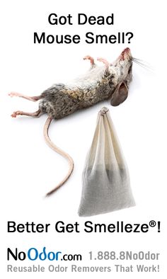 19 Best Dead Animal Smell Solutions Images Mouse Rat Smelleze Reusable Dead Animal Smell Remover Rids Rat Mouse Rodent Odor