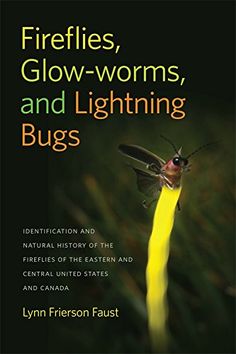 7 best bug identification