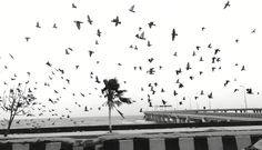 46 Best Surfers paradise images | Summer of love, Summertime 46 Best Surfers paradise images | Summer of love, Summertime