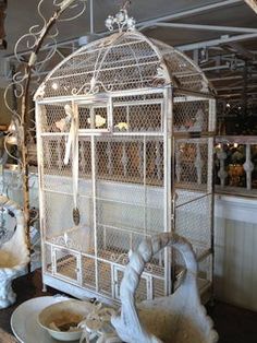 Cocos Collection Antique Inspired Bird Cage Can Add Elegance To A Cocos Collection Antique Inspired Bird Cage Can Add Elegance To A Utilitarian Aviary New Orleans Courtyard Pinterest Cages
