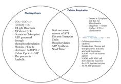 ana therese tandoy anatheresetandoy on pinterest venn diagram of catabolic and anabolic pathways