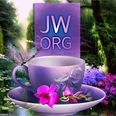 425 best jw org images on pinterest bible truth jehovah s