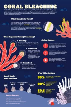 ocean acidification ocean acidification