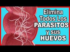 ¿matar a los parásitos dentro del cuerpo te puede hacer sentir mal ¿matar a los parásitos dentro del cuerpo te puede hacer sentir mal