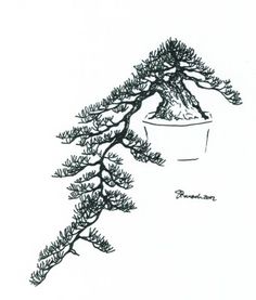 Image Result For Planters Almond Image Result For Planters Almond