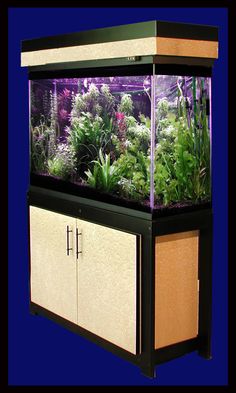 19 best aquarium ideas