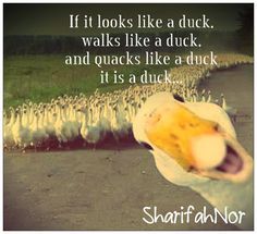 A Like If Quote It Quacks Duck A Like If Quote It Quacks Duck