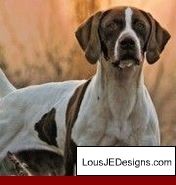How To Teach A Dog Not To Bark For Attention And Pics Of How To