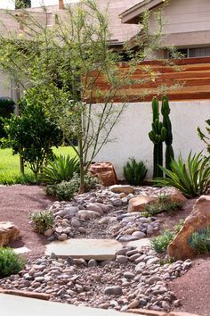 landscaping ideas for front yard in arizona arizona landscaping