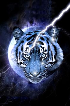3d Animal Wallpapers Places To Visit In 2019 Tiger Images Tiger