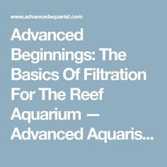 82 best saltwater aquarium