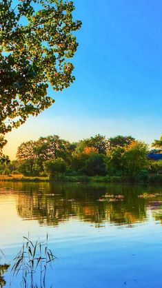 Country At The Lakeside Scenery IPhone 5s Wallpaper Country At The Lakeside Scenery IPhone 5s Wallpaper