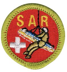 environmental science merit badge