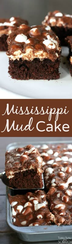Chocolate cake with Chocolate cake with