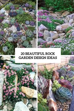 Succulent Rock Garden Pinterest 20 Beautiful Rock Garden Design Ideas