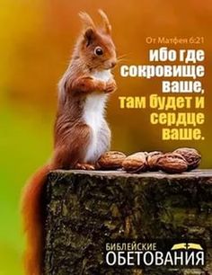 картинки на яндекс каждый день онлайн картинки на яндекс каждый день