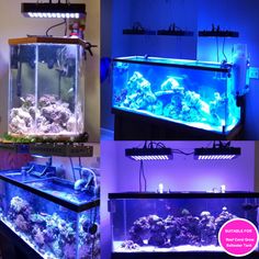 67 best led aquarium