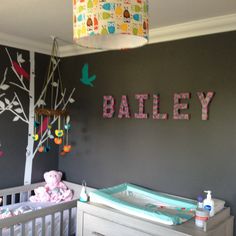 11 Best Bailey S Nursery Images On Pinterest Babies Rooms Bailey S Name Added To The Nursery
