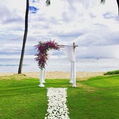 31 Best Napili Pool Lawn At Hyatt Regency Maui Resort Spa Images We Love Surprises Hyatt Regency Maui Weddings