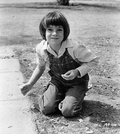 Harper lee essays
