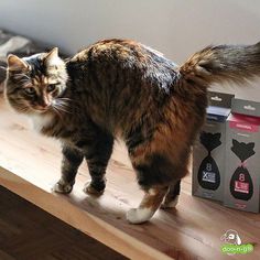 13 Best Doo N Goo Pics Images On Pinterest Doggies Instagram And Mother S Day Contest Alert We Want To Spread The Love Cat Mom Too Enter For Your Chance Win A 3 Month Supply Of L Or Xl Liner Bags